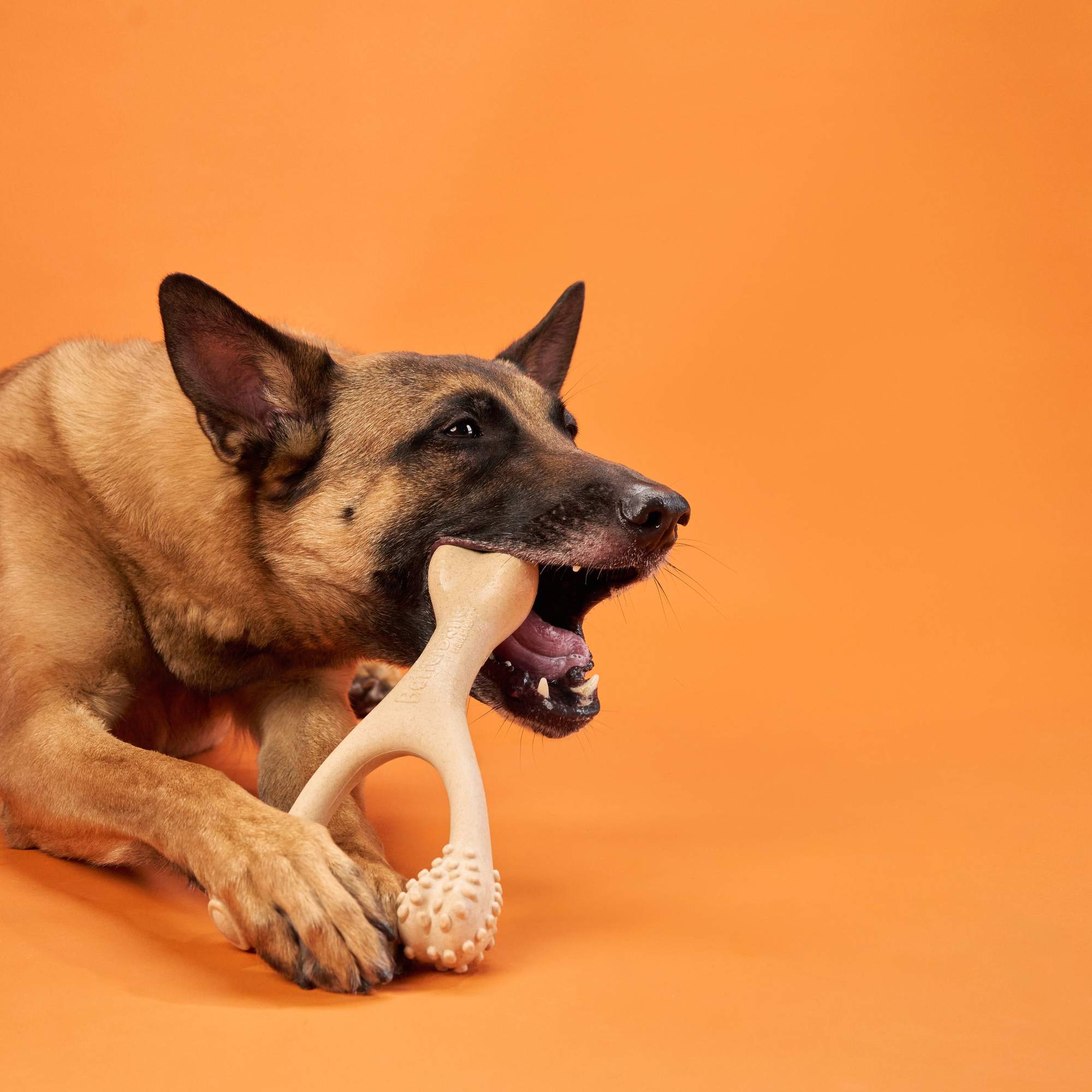 BetterBone HARD DURABLE CHEW TOY: Naturally Derived Ingredients, eco-friendly, and for the toughest chewers!